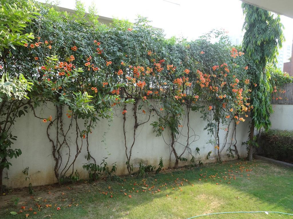 Cinnamon Homestay, Off Sohna Road คูร์เคาน์ ภายนอก รูปภาพ